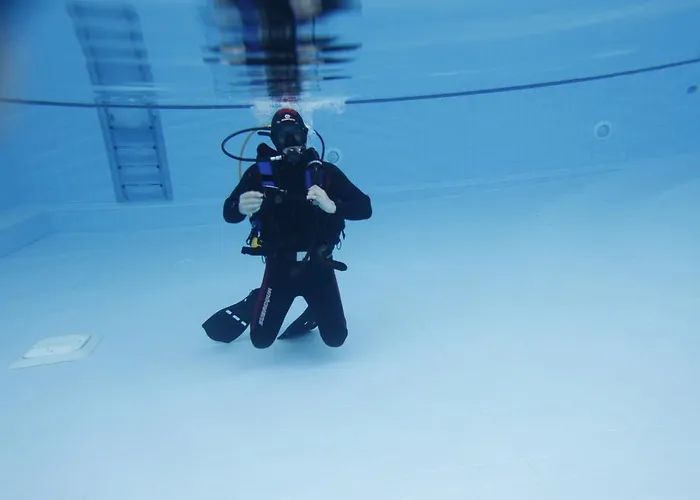 リゾート Montebelo Aguieira & Mortágua